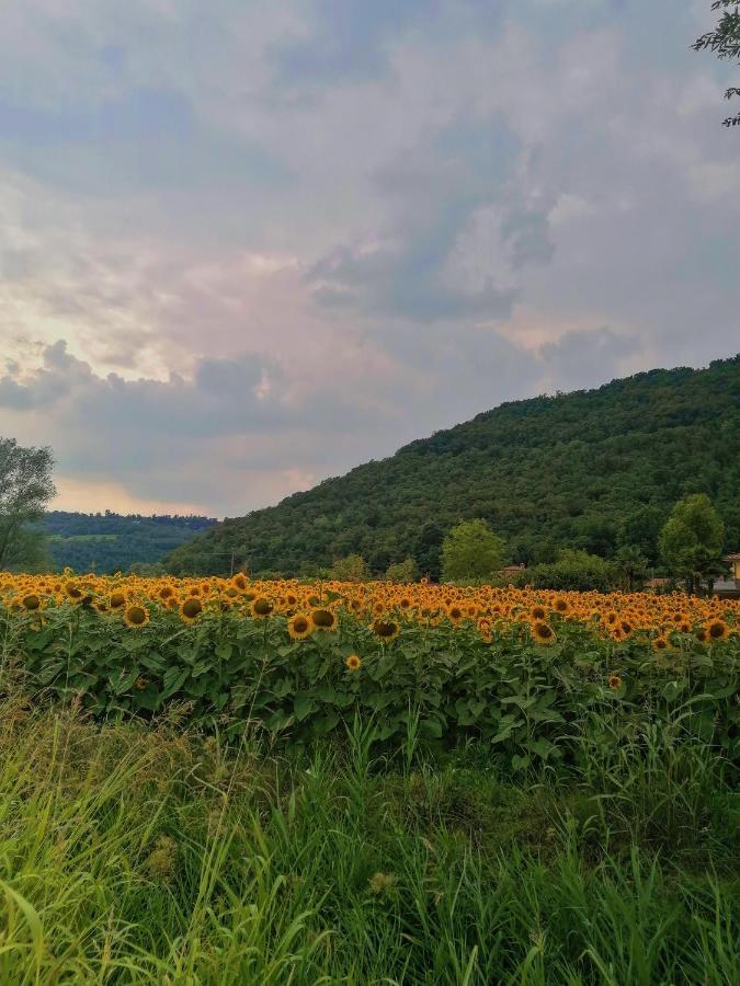 Ca' Dei Berici - Residence Ad Arcugnano Grancare ภายนอก รูปภาพ